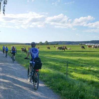 076 Entlang dem Geisslibach